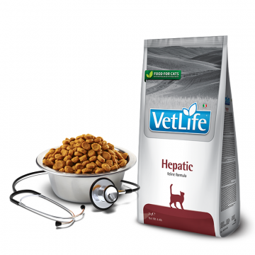 Farmina Vet Life cat hepatic 400 g Farmina - 1