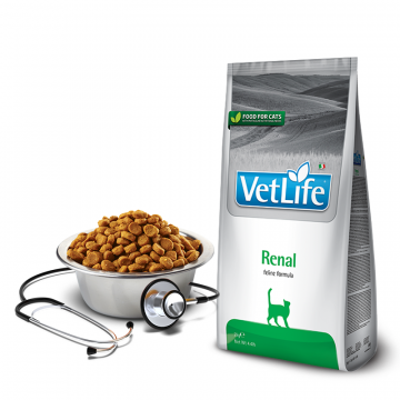 Farmina Vet Life cat renal 400 g Farmina - 1