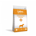 Calibra VD Dog Oxalate&Urate&Cystine 12kg NEW